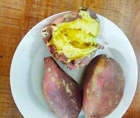 免费吃瓜地瓜,畅享田园美味新体验 第3张 免费吃瓜地瓜,畅享田园美味新体验 第3张